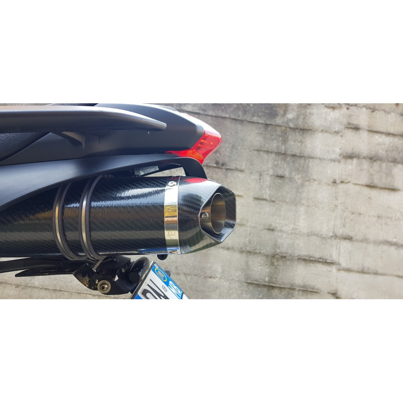 Special Carbon Roadsitalia Yamaha FZ6 S1-S2