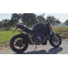 Thunder Titanium Black Roadsitalia Ducati Monster 821 2017-2020