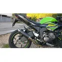 Thunder Carbon Roadsitalia Kawasaki Zx-6r Ninja 2019