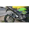 Thunder Carbon Roadsitalia Kawasaki Zx-6r Ninja 2019