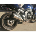 Special Titanium Roadsitalia Yamaha FZ1