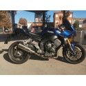 Special Titanium Roadsitalia Yamaha FZ1