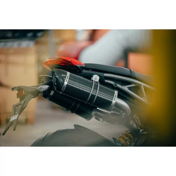 Special Carbon Roadsitalia Ducati Hypermotard 950 2019/2020