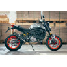 Doublefire Carbon Roadsitalia Ducati Monster 937 2021-