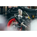 Special Titanium Black Roadsitalia Ducati Monster 937 2021-