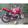 Ovale Carbon Roadsitalia Suzuki GSF Bandit 400