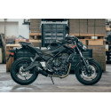 Special Carbon Roadsitalia Kawasaki Z 650 2017-2020