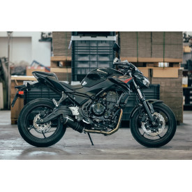 Special Carbon Roadsitalia Kawasaki Z 650 2017-2020