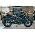 Tondo Carbon Roadsitalia Kawasaki Z 650 2017-2020