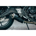 Short Carbon Roadsitalia Kawasaki Z 650 2021-