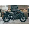 Special Titanium Black Roadsitalia Kawasaki Z 650 2021-
