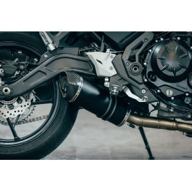 Special Titanium Black Roadsitalia Kawasaki Z 650 2021-