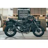 Doublefire Titanium Roadsitalia Kawasaki Z 650 2021-