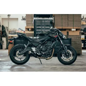 Thunder Carbon Roadsitalia Kawasaki Z 650 2021-