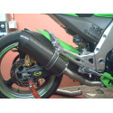 Special Carbon Roadsitalia Kawasaki Z 1000 (no SX) 2004-2006