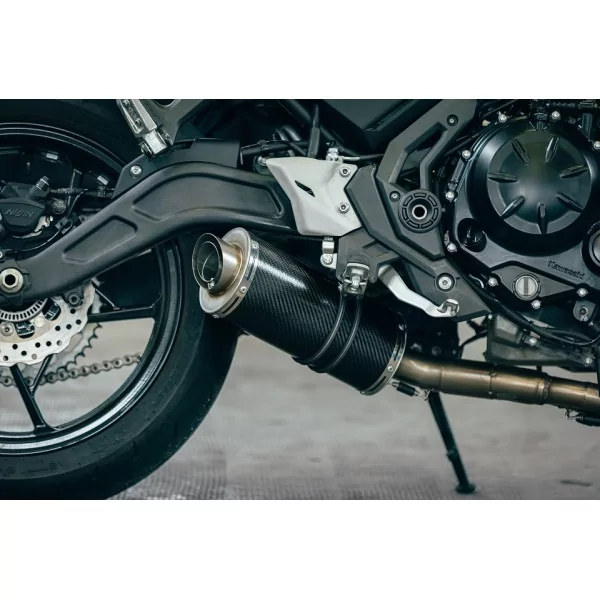 Power Carbon Roadsitalia Kawasaki Ninja 650 2021-