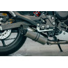 Special Titanium Roadsitalia Yamaha XJ6 2008-2015