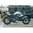 Doublefire Carbon Roadsitalia Yamaha XJ6 2008-2015