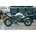 Special Titanium Roadsitalia Yamaha XJ6 2008-2015