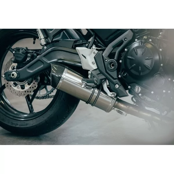 Special Titanium Roadsitalia Kawasaki Versys 650 2021-