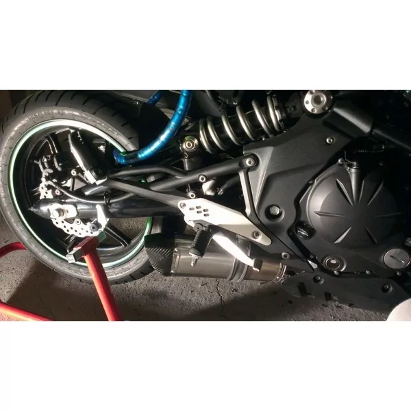 Special Titanium Roadsitalia Kawasaki ER6F 2005-2011