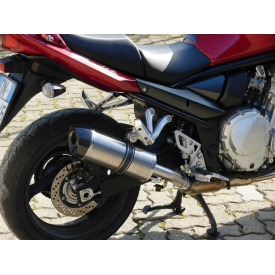 Special Titanium Roadsitalia Suzuki GSX 650 F 07-16