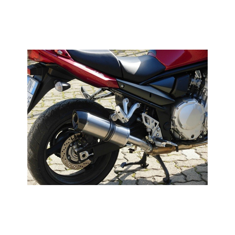 Special Titanium Roadsitalia Suzuki GSX 650 F 07-16