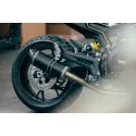 Special Titanium Black Roadsitalia Benelli Leoncino 800 2022-