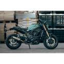 Doublefire Titanium Roadsitalia Benelli Leoncino 800 2022-