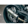 Doublefire Titanium Roadsitalia Benelli Leoncino 800 2022-