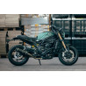 Doublefire Carbon Roadsitalia Benelli Leoncino 800 2022-