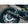 Doublefire Carbon Roadsitalia Benelli Leoncino 800 2022-