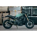 Power Carbon Roadsitalia Benelli Leoncino 800 2022-