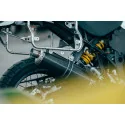 Ovale Carbon Roadsitalia Ducati Desert X