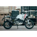 Special Carbon Roadsitalia Ducati Desert X