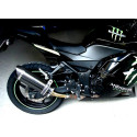 Special Carbon Roadsitalia Kawasaki Ninja 250