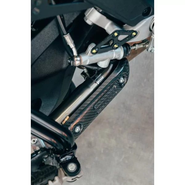 Special Carbon Roadsitalia Ducati Desert X
