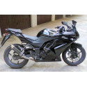 Thunder Carbon Roadsitalia Kawasaki Ninja 250