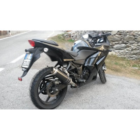 Thunder Carbon Roadsitalia Kawasaki Ninja 250