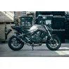 Power Carbon Roadsitalia Honda Hornet 750 2023-