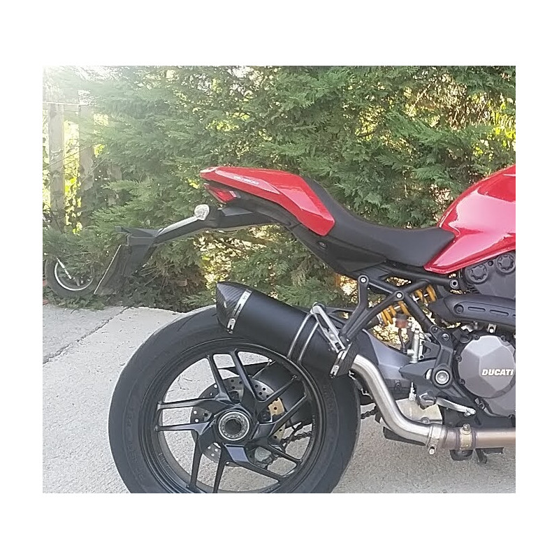 Ducati monster sales dual exhaust