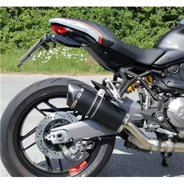 Special Titanium Black Roadsitalia Ducati Monster 821 2014-2016