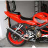 Ovale Carbon Roadsitalia Honda CBR 600 F 1999-2000