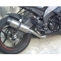 Special Titanium Roadsitalia Kawasaki Zx-10r 2008-2009