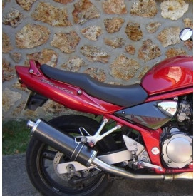 Ovale Carbon Roadsitalia Suzuki GSF Bandit 600 1996-2005