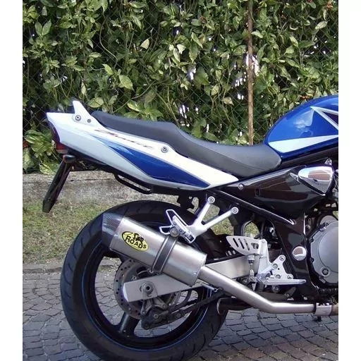 Special Titanium Roadsitalia Suzuki GSF Bandit 1200 1996-2005