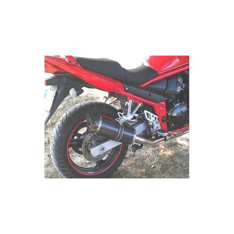 Special Carbon Roadsitalia Suzuki GSF Bandit 600 1996-2005