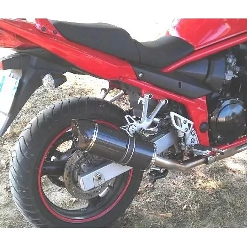Special Carbon Roadsitalia Suzuki GSF Bandit 1200 1996-2005