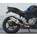 Short Titanium Roadsitalia Suzuki Gladius 650