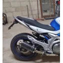 Power Carbon Roadsitalia Suzuki Gladius 650